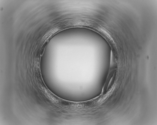 X0000087390793200705111759