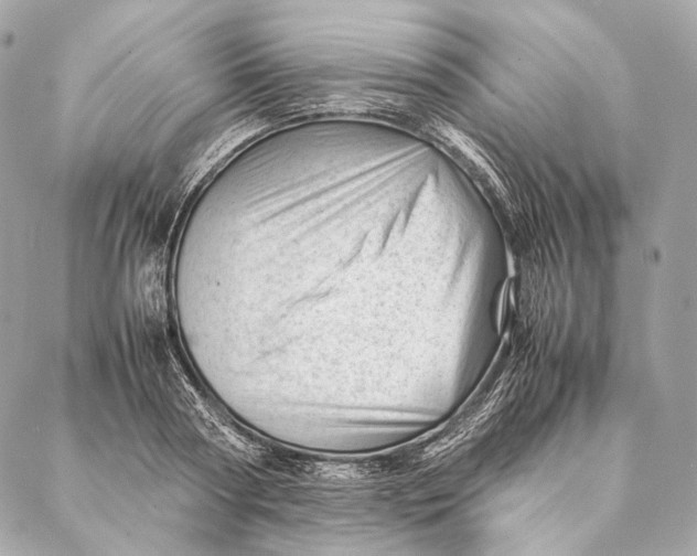 X0000087390794200705111759