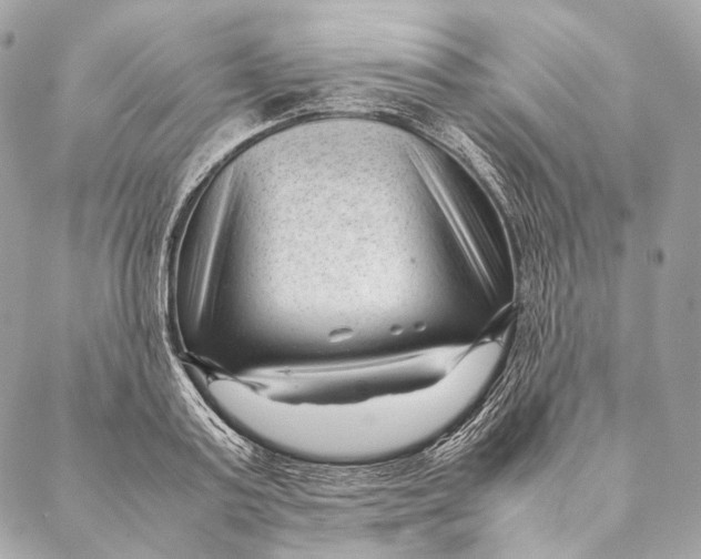 X0000087390795200705111759