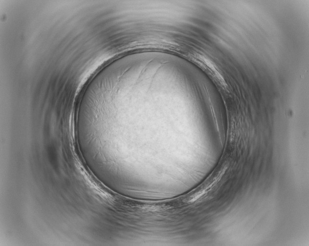 X0000087390796200705111759