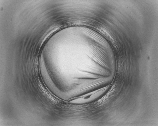 X0000087390798200705111759