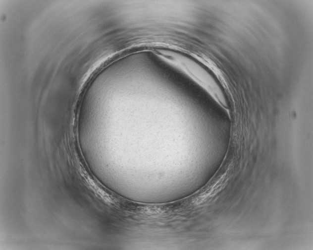 X0000087390799200705111759