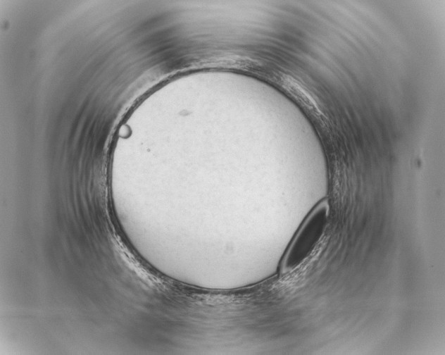 X0000087390800200705111759