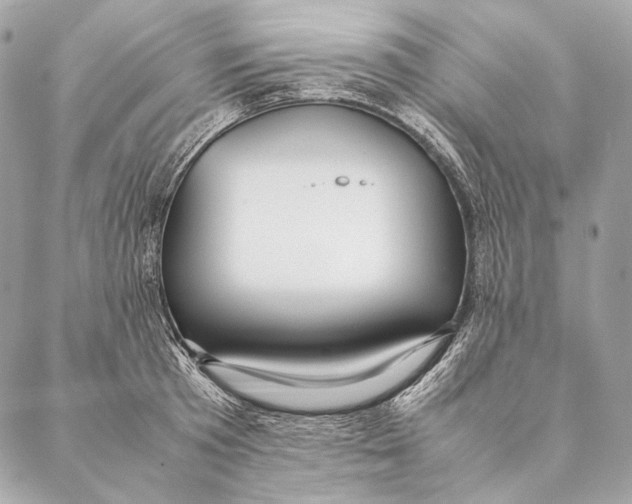 X0000087390801200705111759