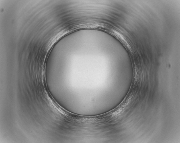 X0000087390802200705111759