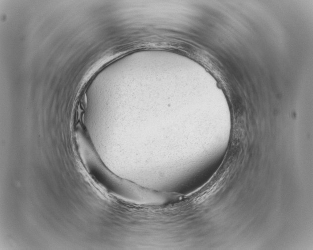 X0000087390803200705111759