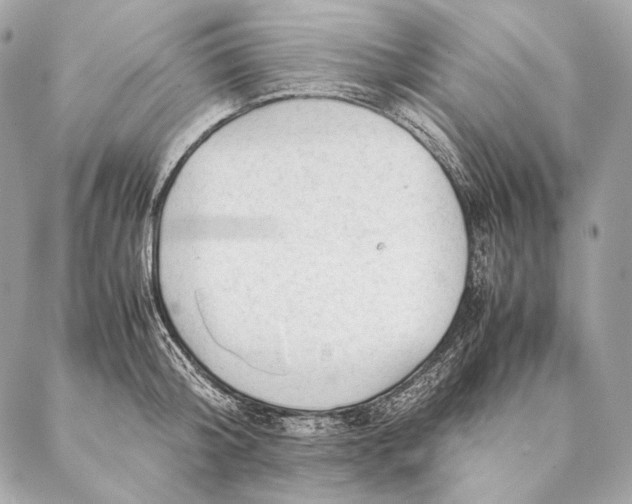 X0000087390804200705111759