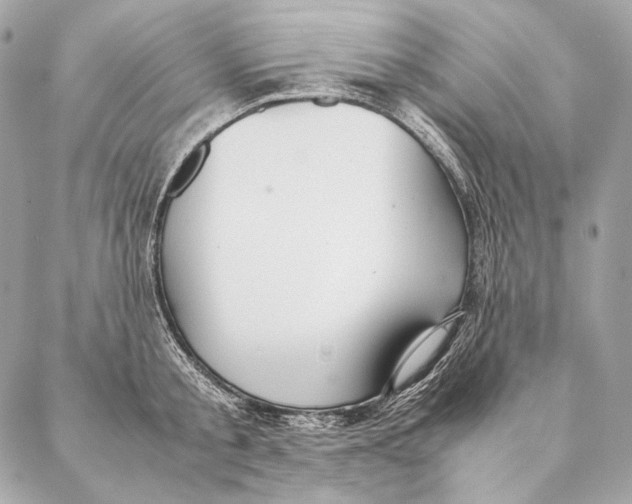 X0000087390805200705111759