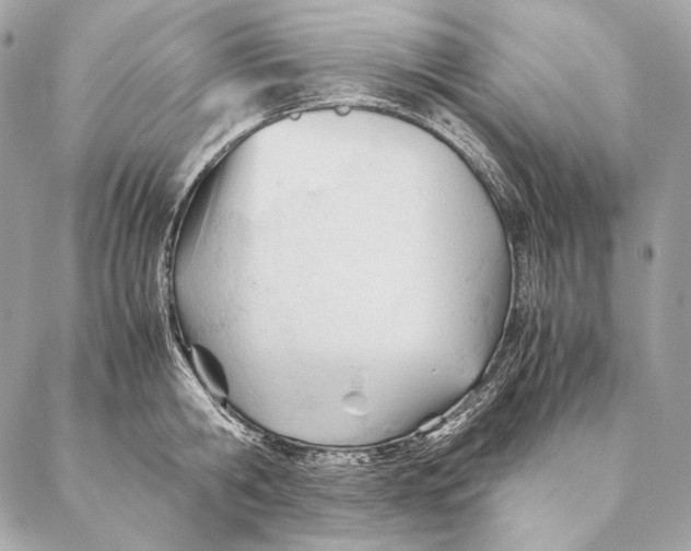 X0000087390806200705111759