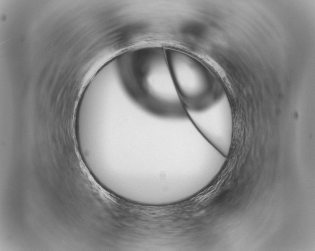 X0000087390807200705111759