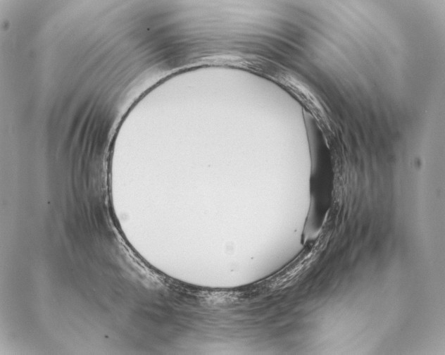 X0000087390808200705111759