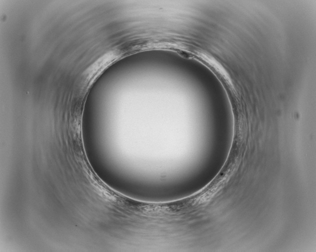 X0000087390809200705111759