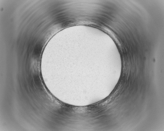 X0000087390810200705111759