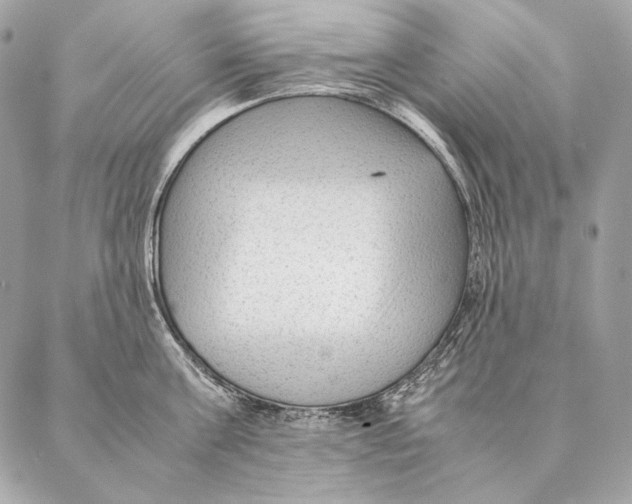 X0000087390811200705111759