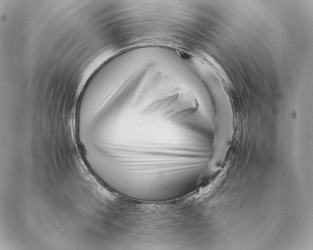 X0000087390812200705111759