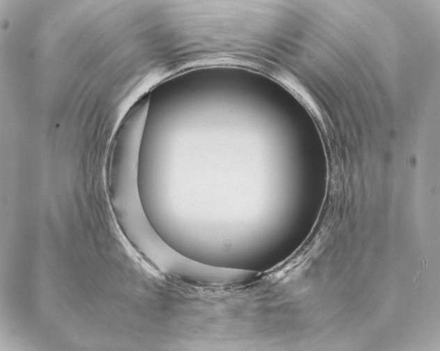 X0000087390813200705111759