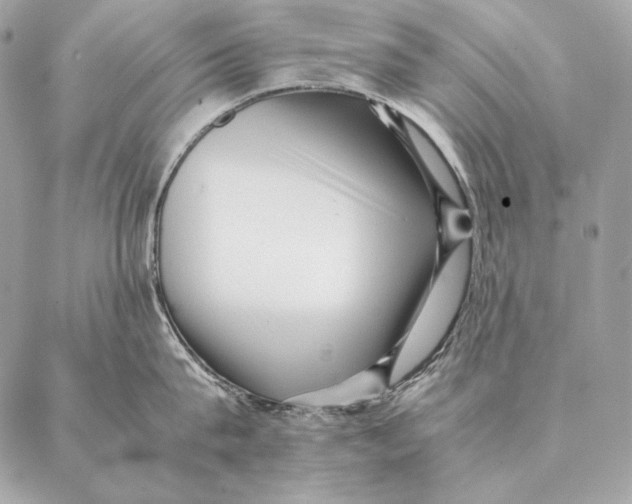 X0000087390815200705111759