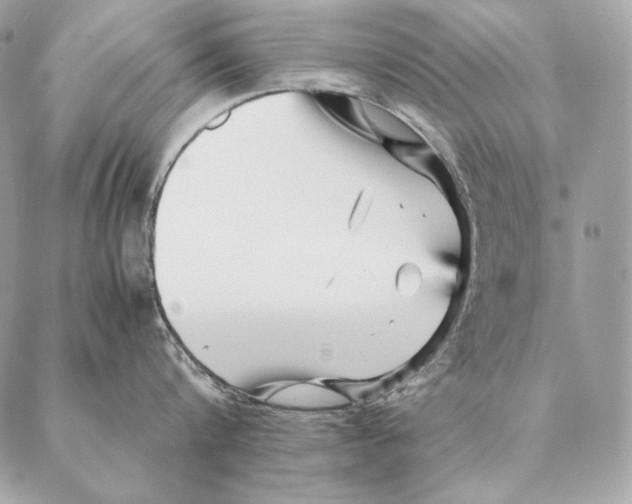 X0000087390816200705111759