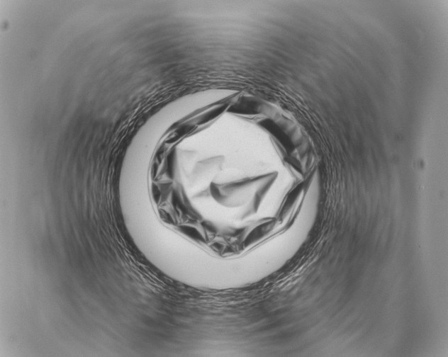 X0000087390818200705111758