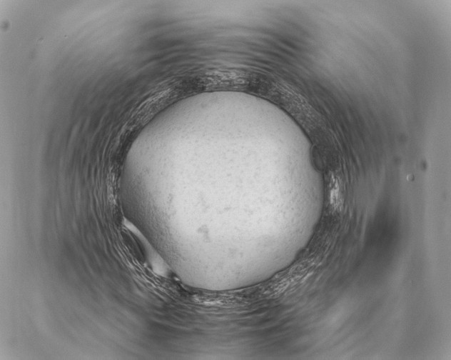 X0000087390819200705111758