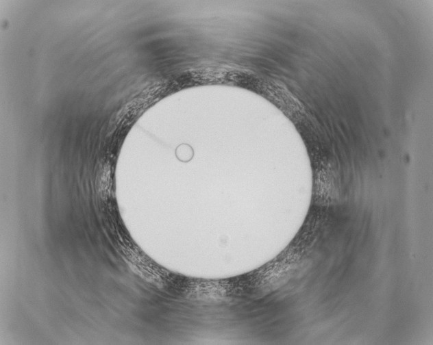 X0000087390820200705111758