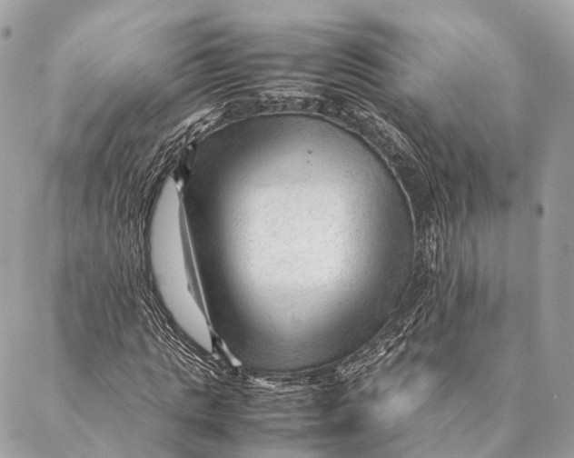 X0000087390821200705111758