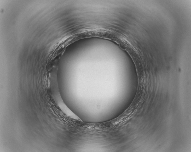 X0000087390822200705111758