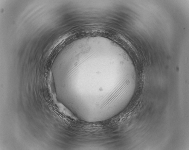 X0000087390823200705111758