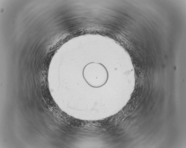 X0000087390824200705111758