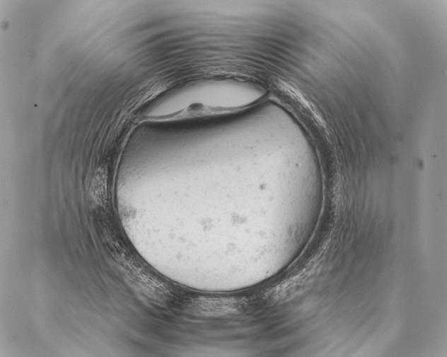 X0000087390825200705111758