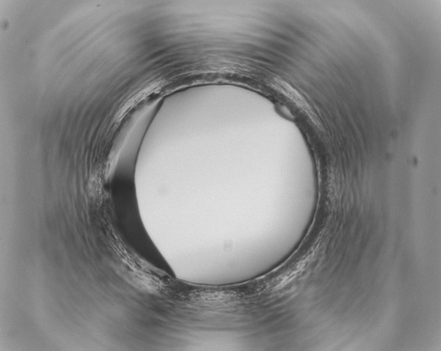 X0000087390826200705111758