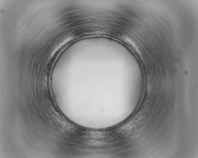 X0000087390827200705111758