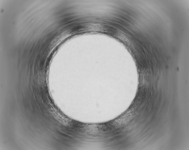 X0000087390828200705111758