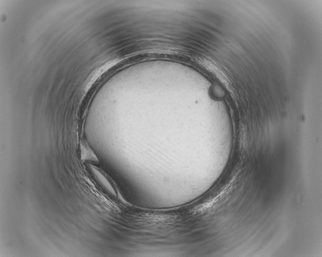 X0000087390829200705111758