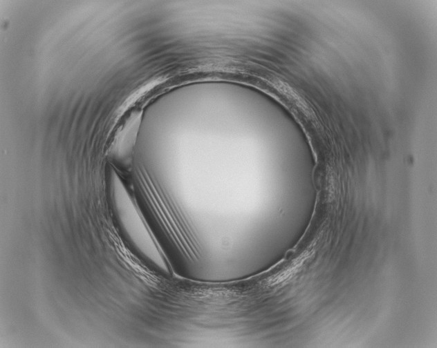 X0000087390830200705111758