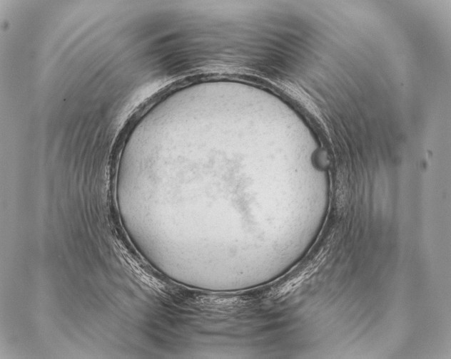 X0000087390831200705111758