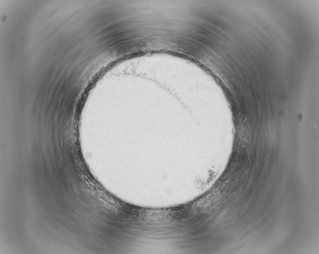 X0000087390832200705111758