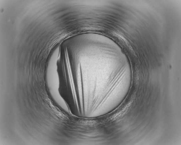 X0000087390833200705111758