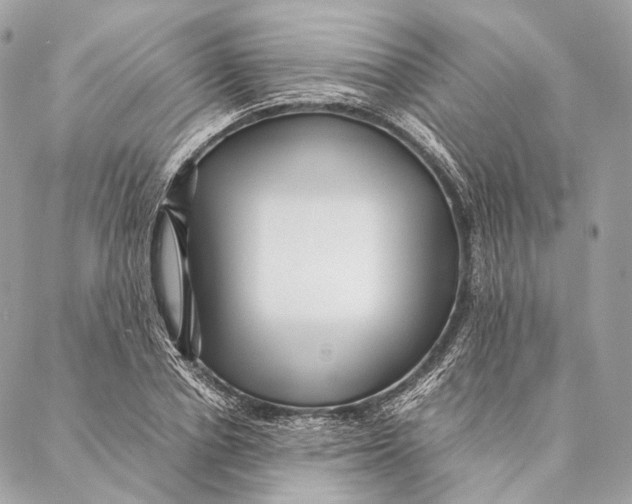 X0000087390834200705111758