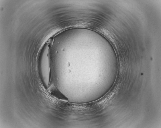 X0000087390835200705111758