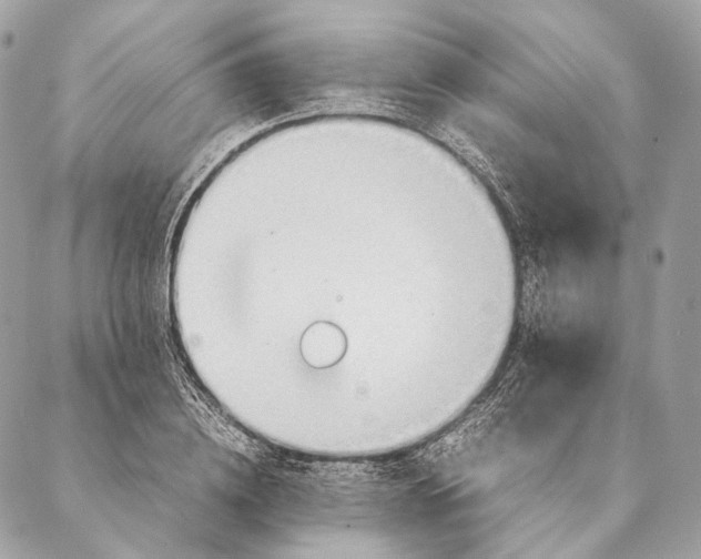 X0000087390836200705111758