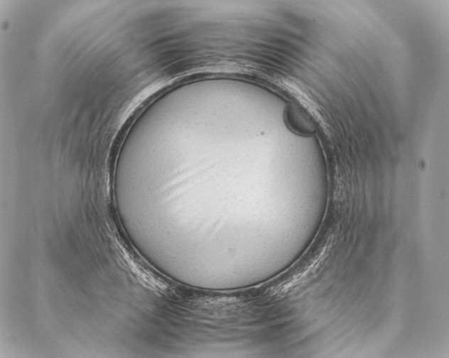 X0000087390837200705111758