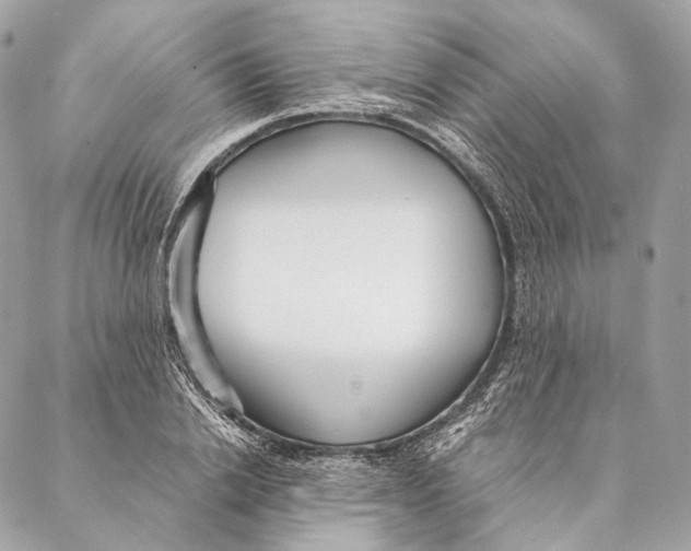 X0000087390838200705111758