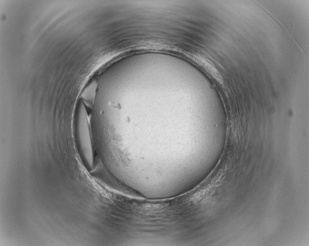 X0000087390839200705111758