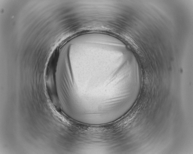 X0000087390840200705111758