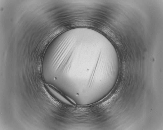 X0000087390841200705111758