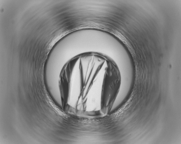 X0000087390842200705111758