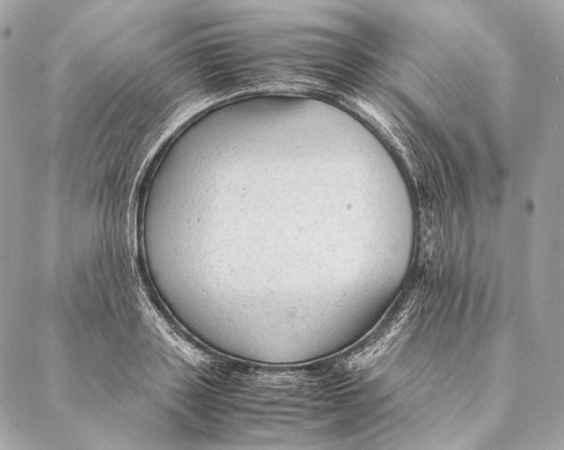 X0000087390843200705111758