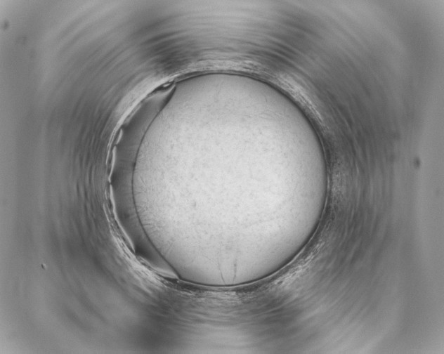 X0000087390844200705111758