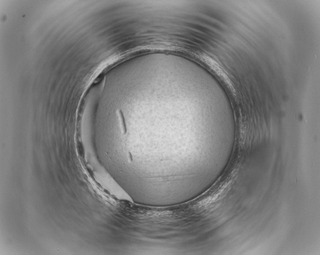 X0000087390845200705111759